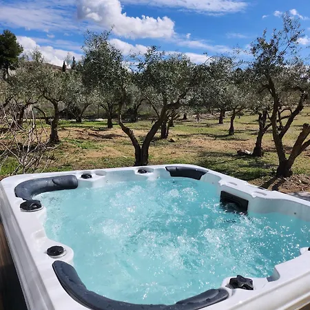 Viña Inés Villa Toledo