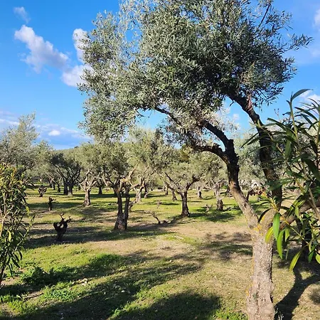 Viña Inés * Toledo