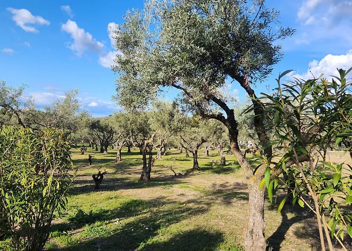 Vina Ines * 톨레도